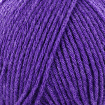 Purple (201247)