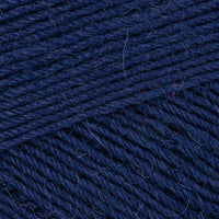 Navy (170)