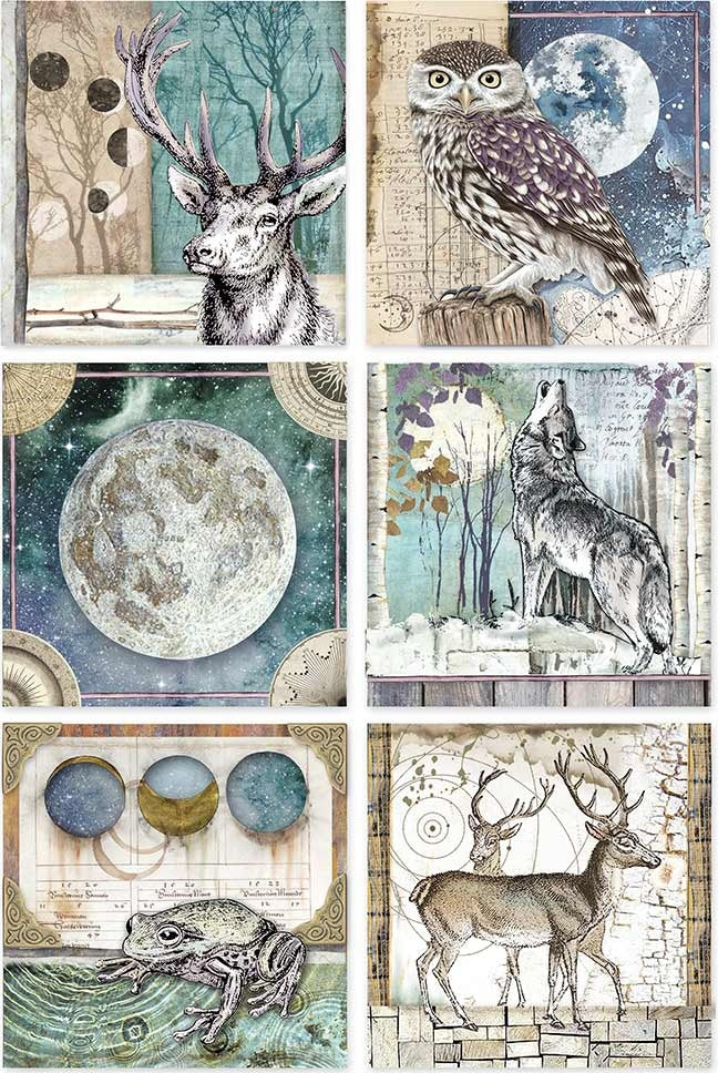 Stamperia Intl Stamperia Rice Paper Sheet A4 - Cosmos Cards