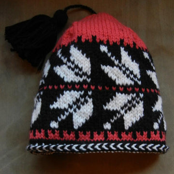 Telemark Ski Hat