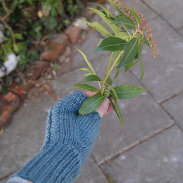 Blue Hill Mitts