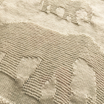 Elephant Blanket