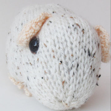 Guinea Pig Toy