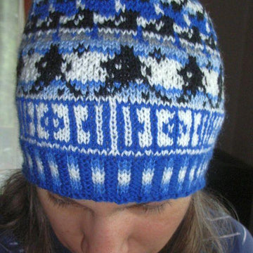 Ice hockey beanie