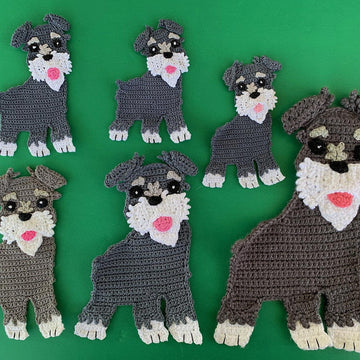 Schnauzer Dog