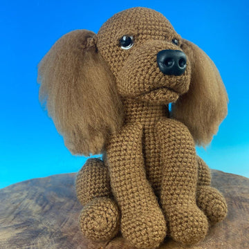 Cocker Spaniel King Charles Spaniel