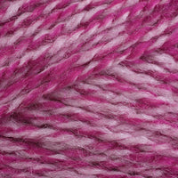 Carnation (1204)
