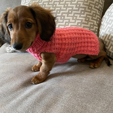 Dog Waffle Stitch Sweater