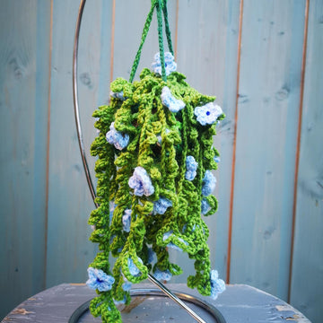 Snowtopia hanging plant