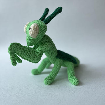Praying Mantis