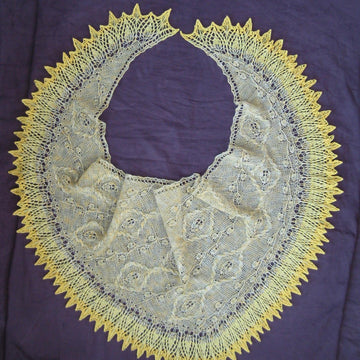 Shawl Rainforest Liana