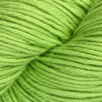Lime (11)