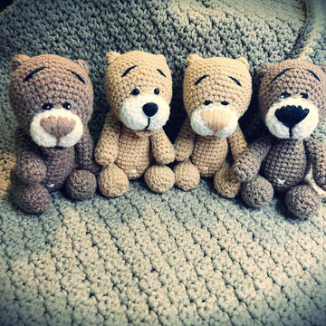 Pocket Bear
