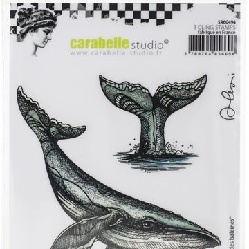 Carabelle Studio Cling Stamp A6 By Alexi - The Whale Song