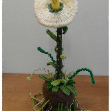Pet Triffid