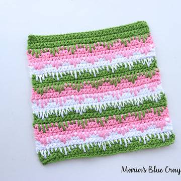 Watermelon Dishcloths