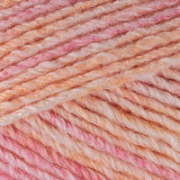 Carnation (4238)