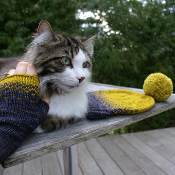 Driftless Mitts DK