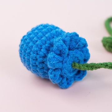 Blueberry Car Hanging