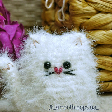 Fluffy Cat