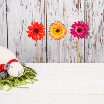 Milly The Sheep Toy - Free Knitting Pattern in MillaMia Naturally Soft Merino