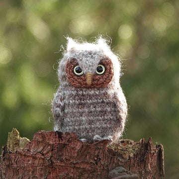 Bubu the owlet