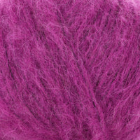 Fuchsia (18)