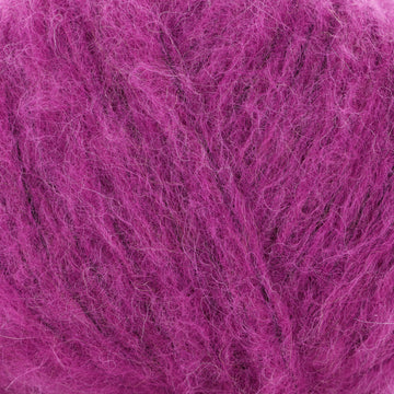 Fuchsia (18)