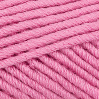 Carnation (70812)