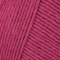 Raspberry Sorbet (202)