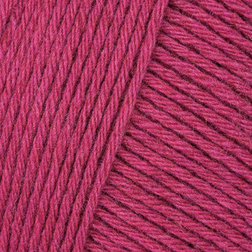 Raspberry Sorbet (202)