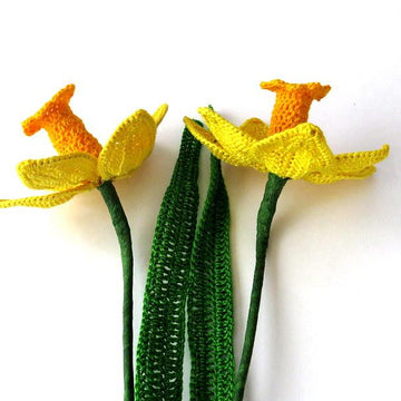 Daffodil long stem