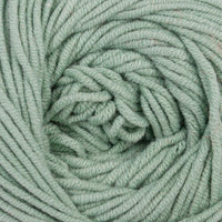 Eucalyptus (080)