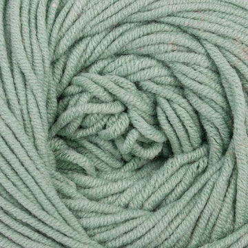 Eucalyptus (080)