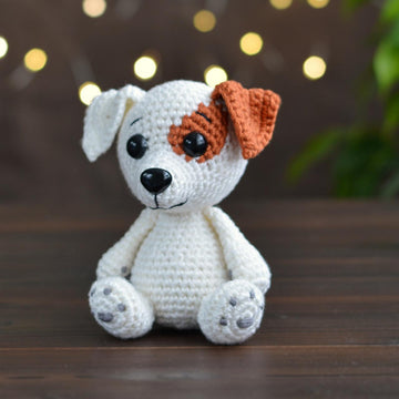 Dog Jack Russell Terrier