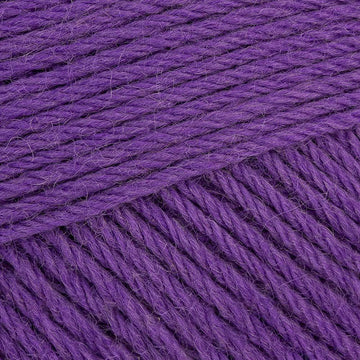 Pansy Purple (1247)
