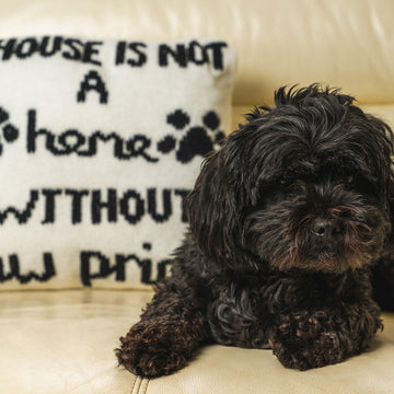 A House Is Not A Home Without Paw Prints Cushion
