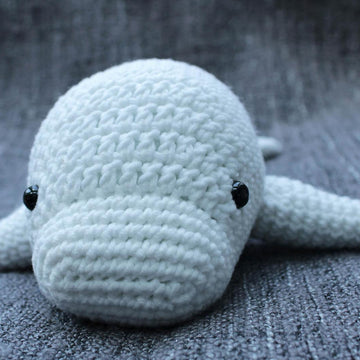 Betty the Beluga