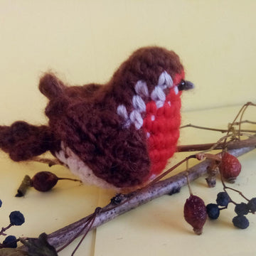 European Robin