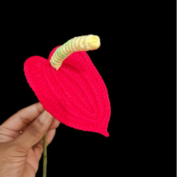Anthurium flower