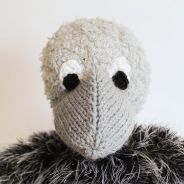 Oscar the Ostrich Chick