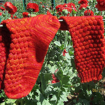 Poppies in the Garden