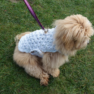 Banff Dog Jacket