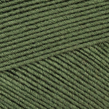 Olive (5221)