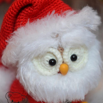 323 Santa Little Owl