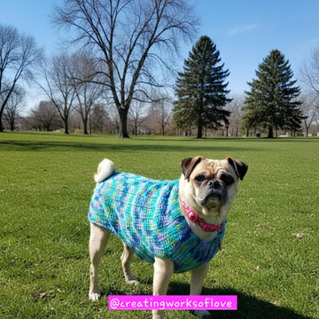 Lady's Dog Sweater