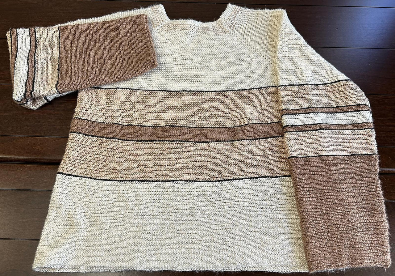 Corina Raglan Pullover