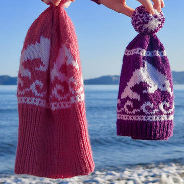 2 Dolphin Hats