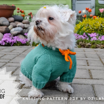 Dragon dog hoodie