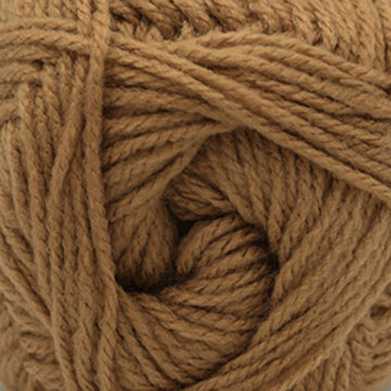 Camel (15)